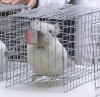 на выставке 2 ноября 2013 года
