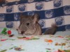 1 месяц и неделя