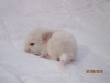 1 неделя