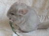 1 мес