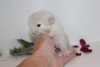 1 неделя
