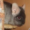 Эрик