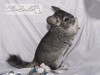 4 мес