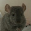 Егорий