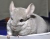 14.06.14
