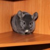 20.05.2014г.