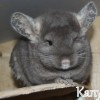 Капучинка