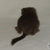 Наоми