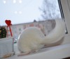 16декабря2013г