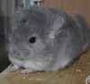 Огонек