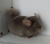 5 месяцев