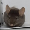 5 месяцев