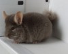 5 месяцев