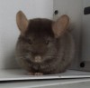 5 месяцев