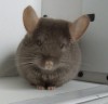 5 месяцев