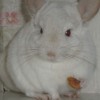 Килан