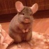 Латифа