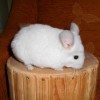 Пелагея