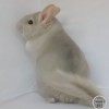 Мюрат