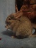 В реальности светлее