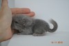 3 дня