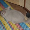 некого