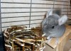 Съедобный тоннельчик