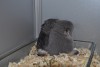 1 неделя