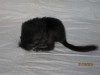 1 день