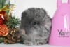 1 неделя
