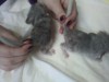 30 минут жизни:)