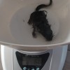 Без клички