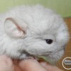 без имени