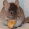 Клим