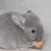 Милка