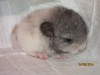 5 дней
