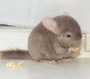 1 мес
