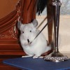 20.06.2014г.