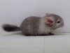 1 мес 1 нед