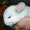 Снежинка