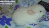 1 мес