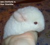 1 мес