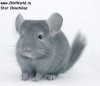 2,5 мес