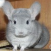 Космос