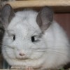 Ланвин