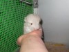 1 неделя