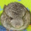Космос