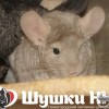 Хати