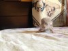 Новорожденный