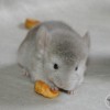Кекс